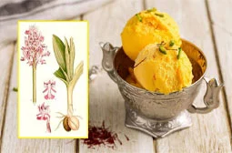 ثعلب چیست و چه خواصی دارد؟