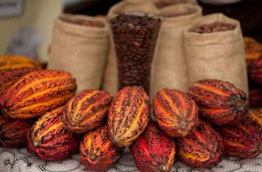 توجه ویژه به شکلات در پرو