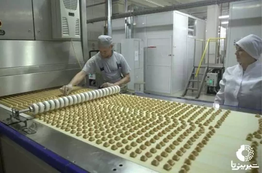 مشکلات کشور آلمان در جایگزینی کارگران صنعت شیرینی و شکلات